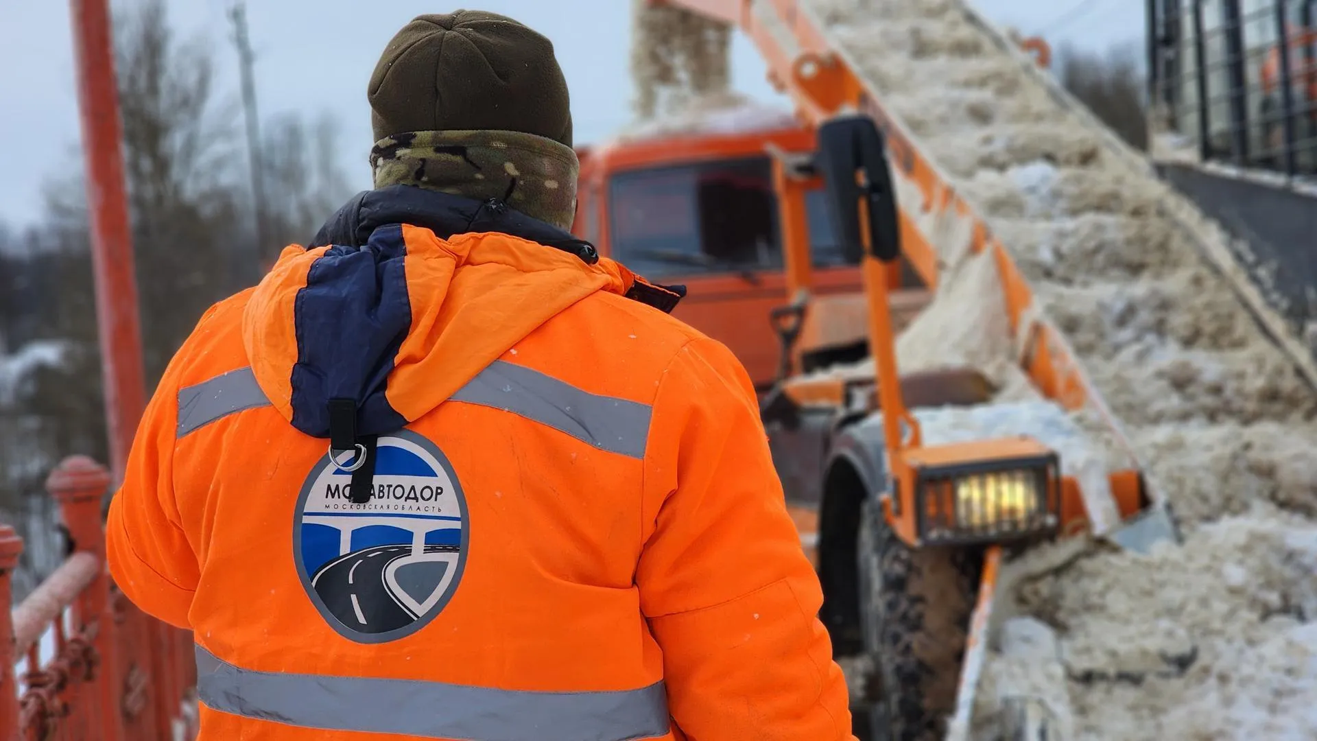 МедиаБанк Подмосковья/Екатерина Данилина