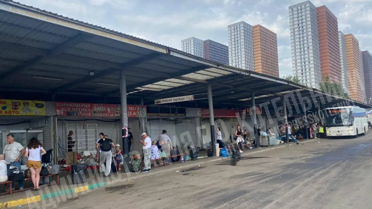 Фото: пресс-служба администрации г.о.Котельники