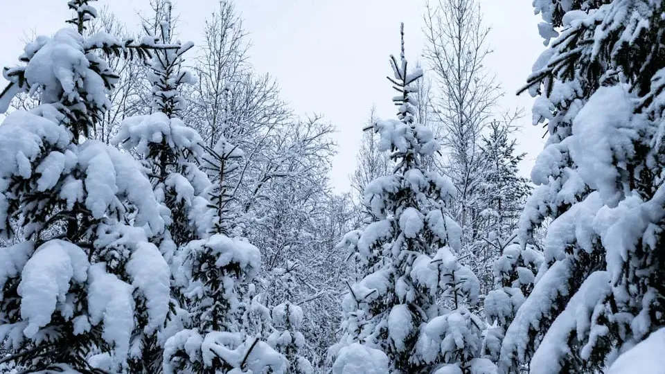 REGIONS/Роман Малышенко