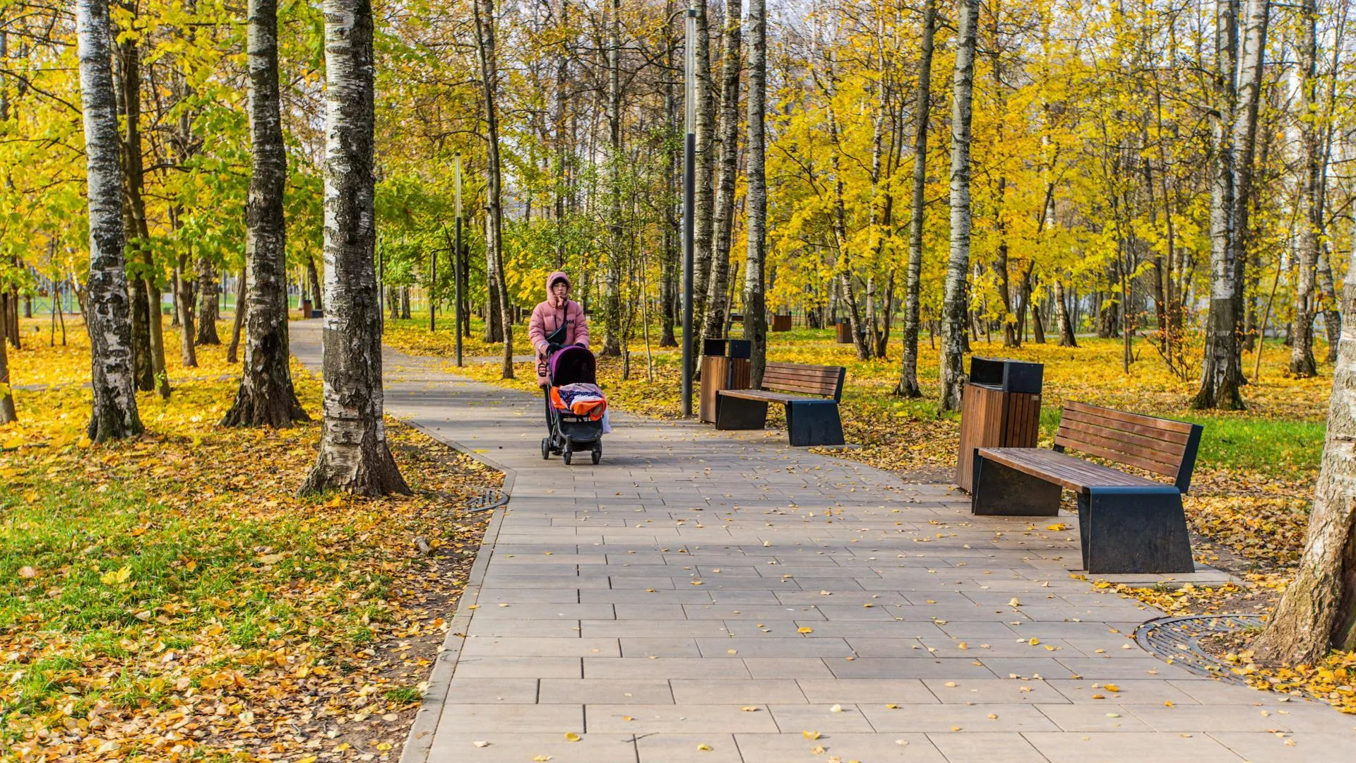 Почти миллион человек посетили парки и лесопарки Подмосковья за неделю