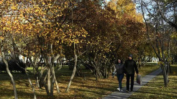 Во вторник воздух согреется до 6 градусов