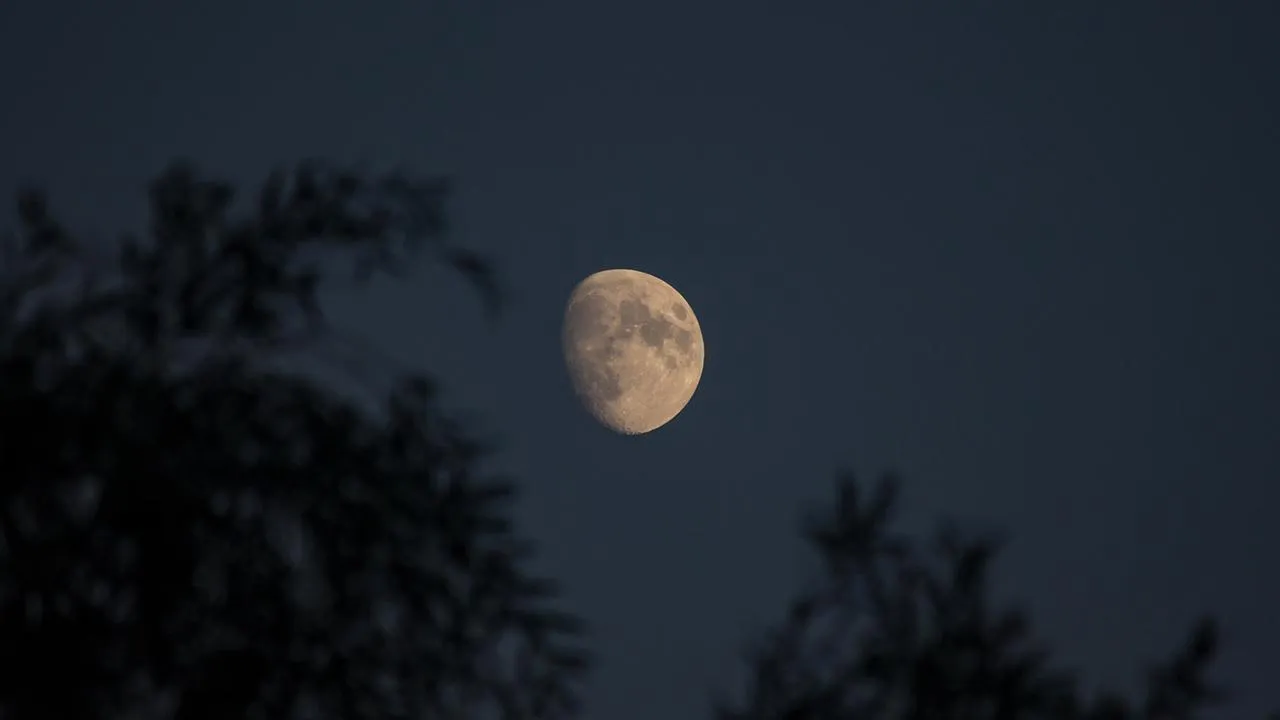 istockphoto.com