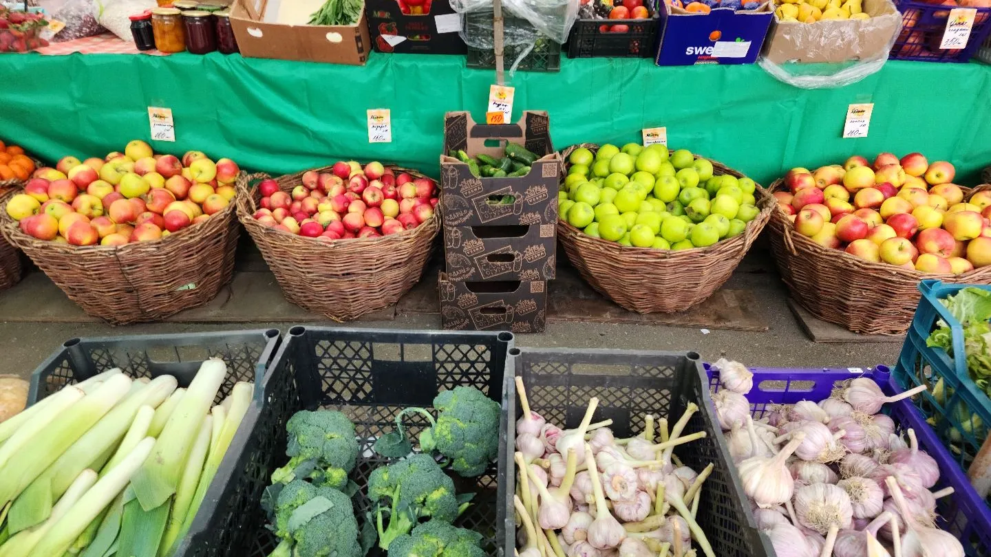 Фото: REGIONS / Хавива Фонина