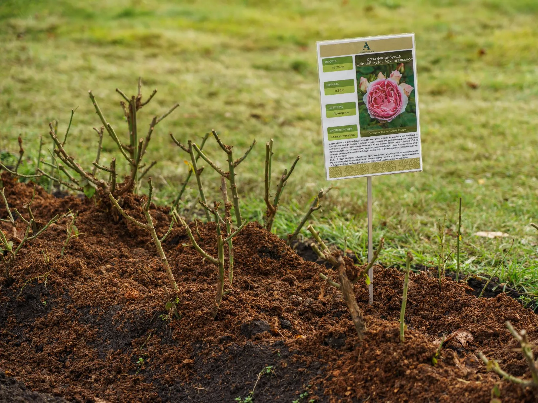 Фото: медиасток.рф