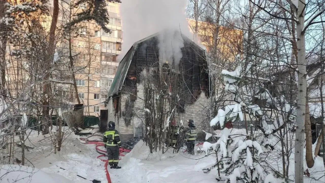 Извещатель пищал, а кот кричал: их дуэт спас многодетную мать и детей от пожара в Пушкино