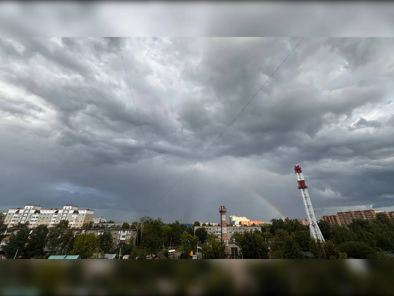 Фото: t.me/domodedovolive