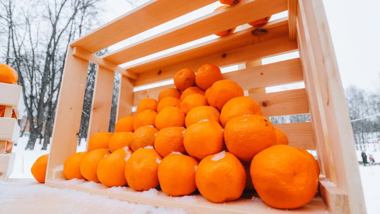 МедиаБанк Подмосковья/Данила Кирьянов