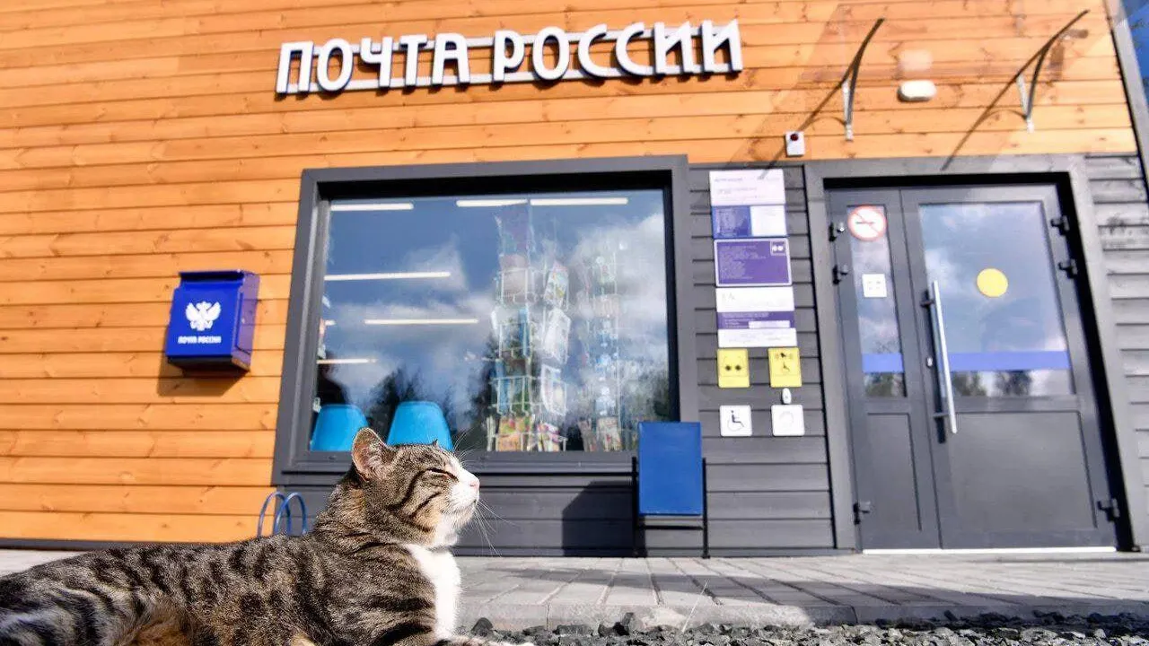 В Подмосковье появились четыре новых отделения Почты России