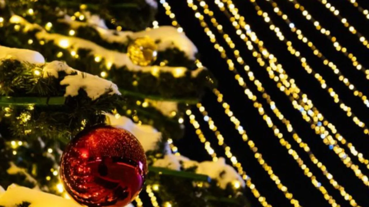 Фото: медиасток.рф