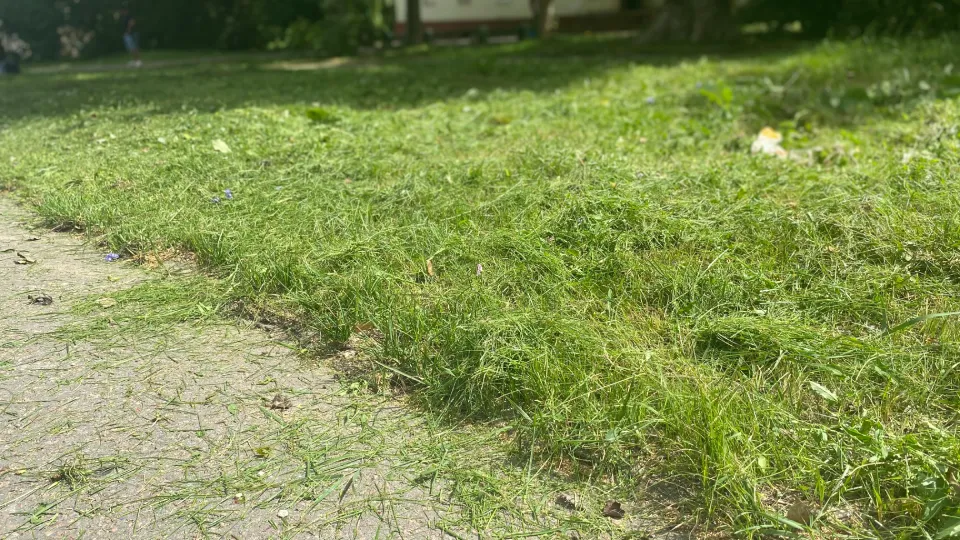 Фото: МедиаБанк Подмосковья/Юлия Лысихина