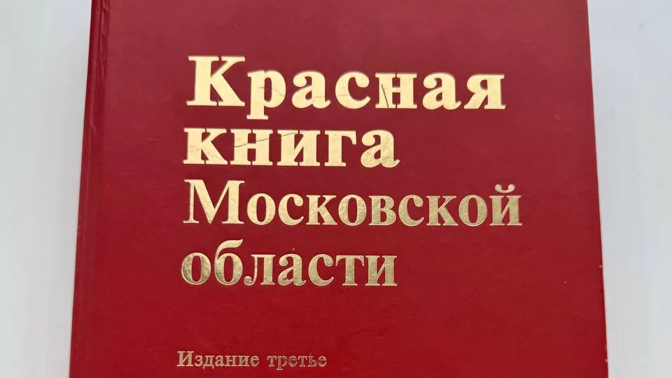 Фото: Министерство экологии и природопользования МО