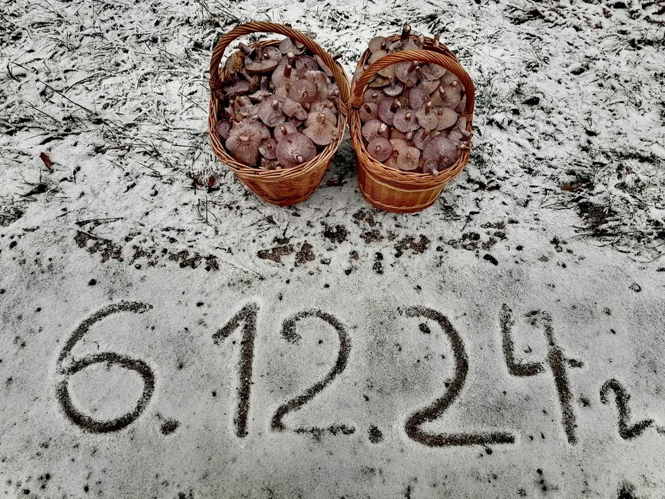 Фото: Евгений Абрамов