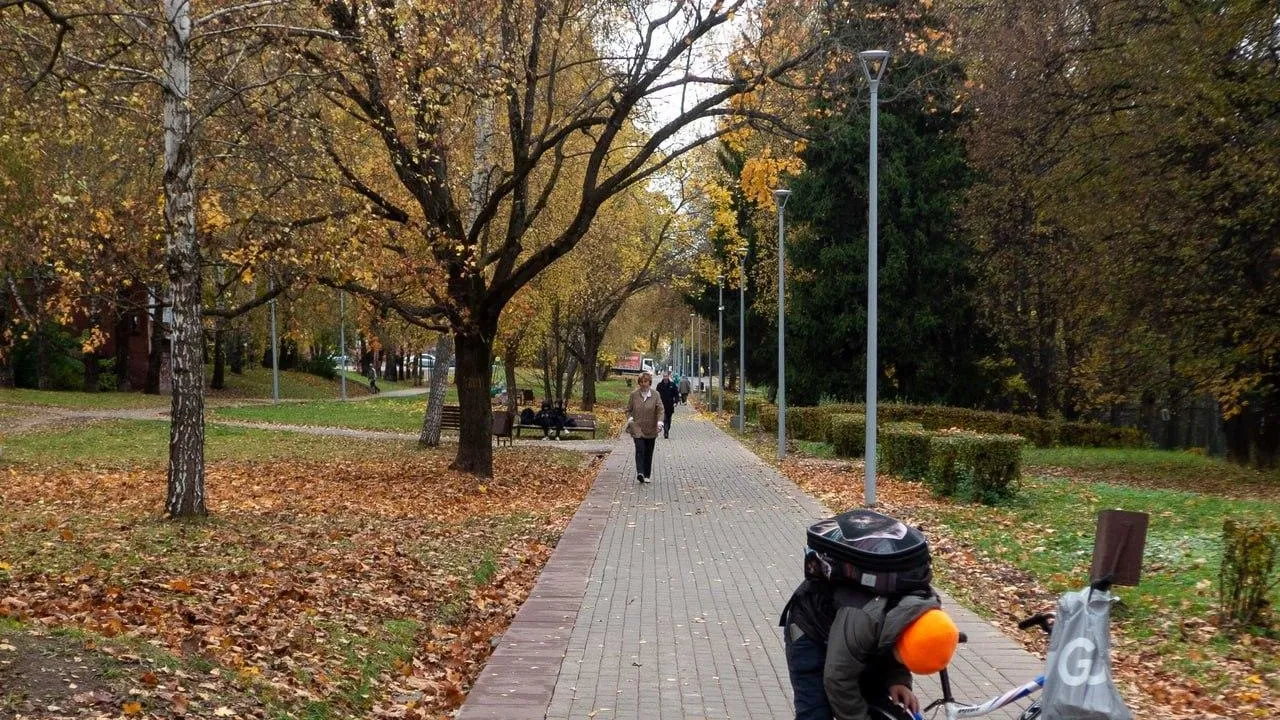 Фото: Министерство благоустройства МО