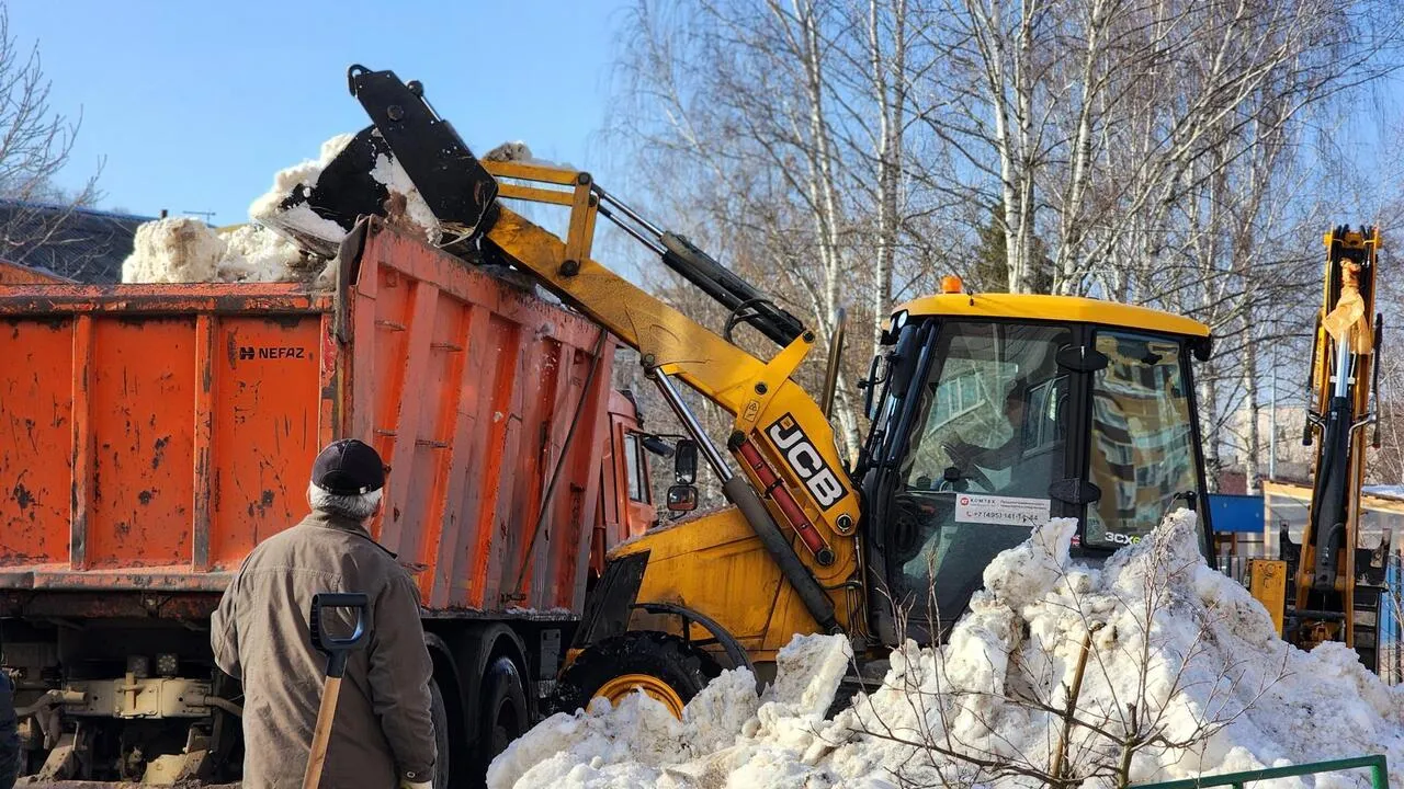 REGIONS/Валерия Тингаева