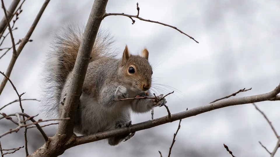 Фото: freepik.com/wirestock
