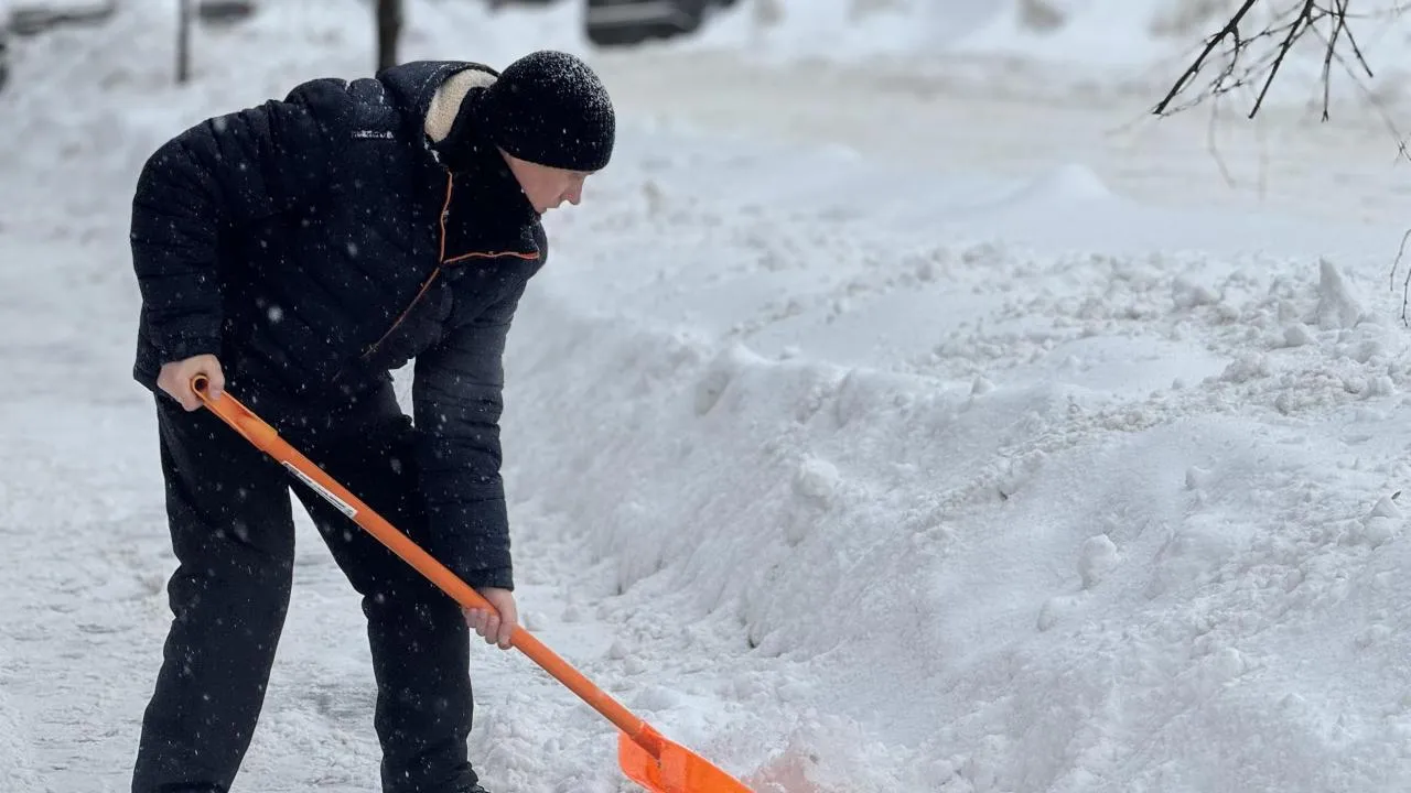 Полина Абраменко
