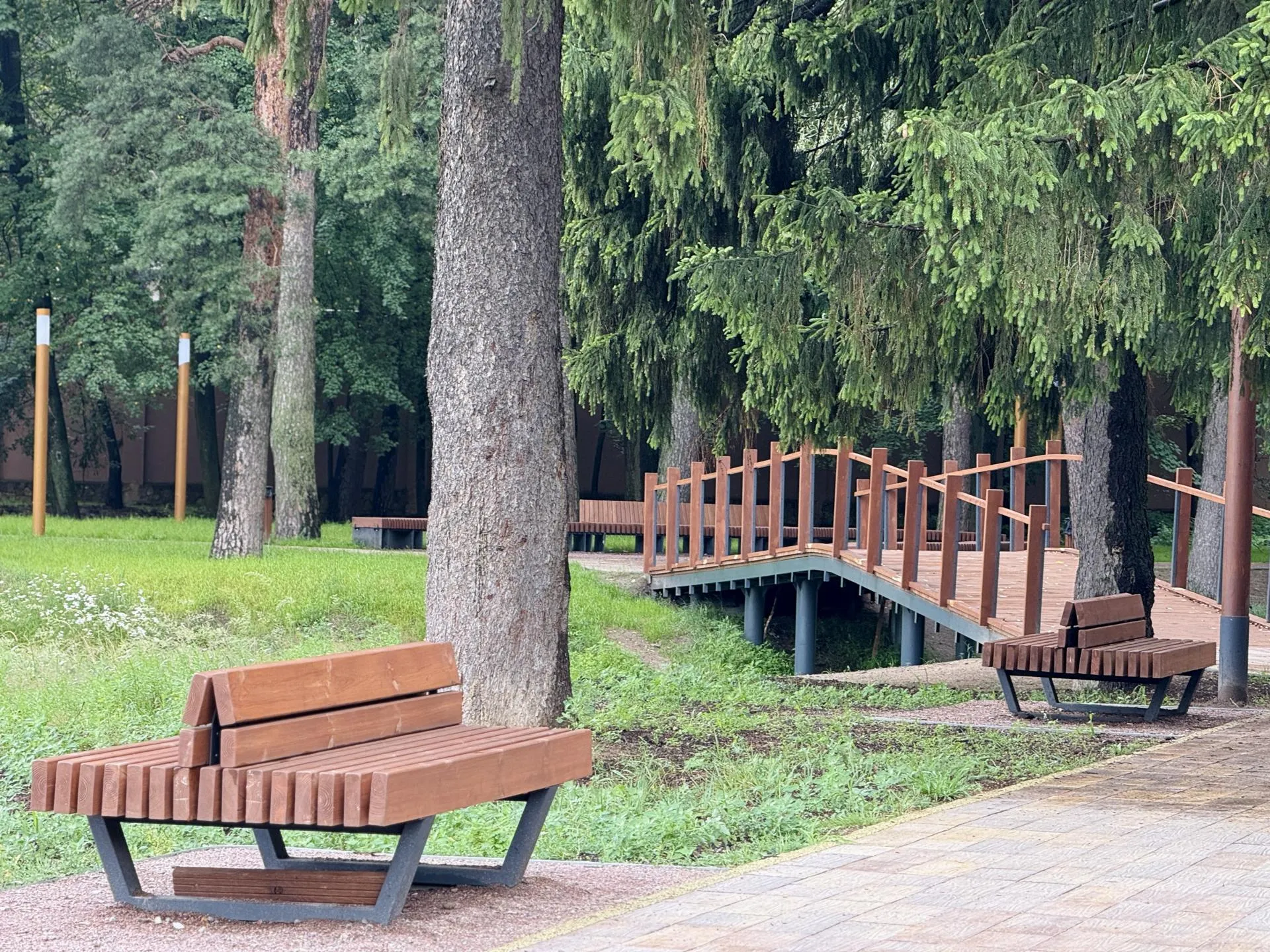 Фото: Ольга Стаферова