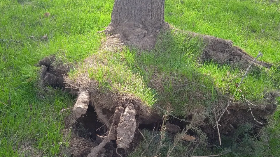 Фото: vk.com/Подслушано в Пущино