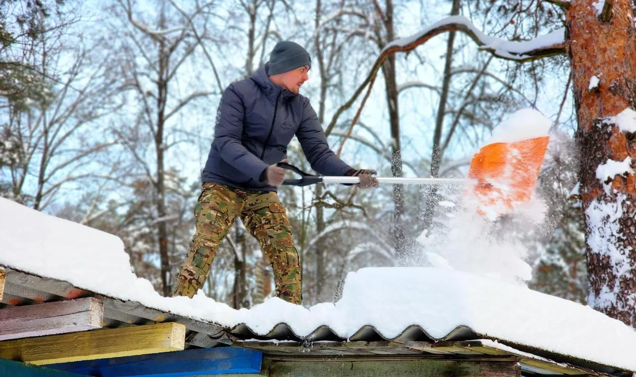 REGIONS/Полина Пахомова