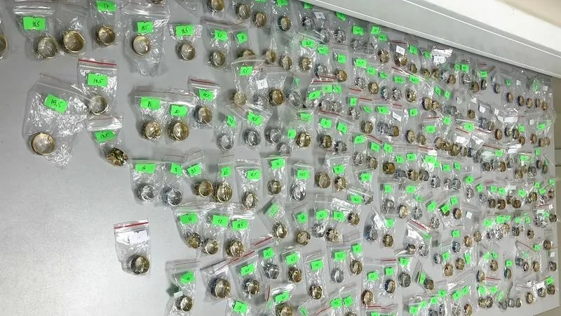Сотни серебряных украшений на 7,6 млн вез контрабандой россиянин в Домодедово