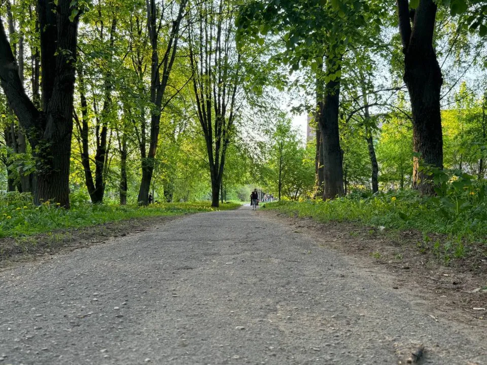 Фото: пресс-служба администрации Можайского городского округа