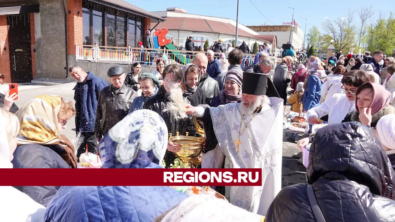 Фото: REGIONS/Дарья Леонова