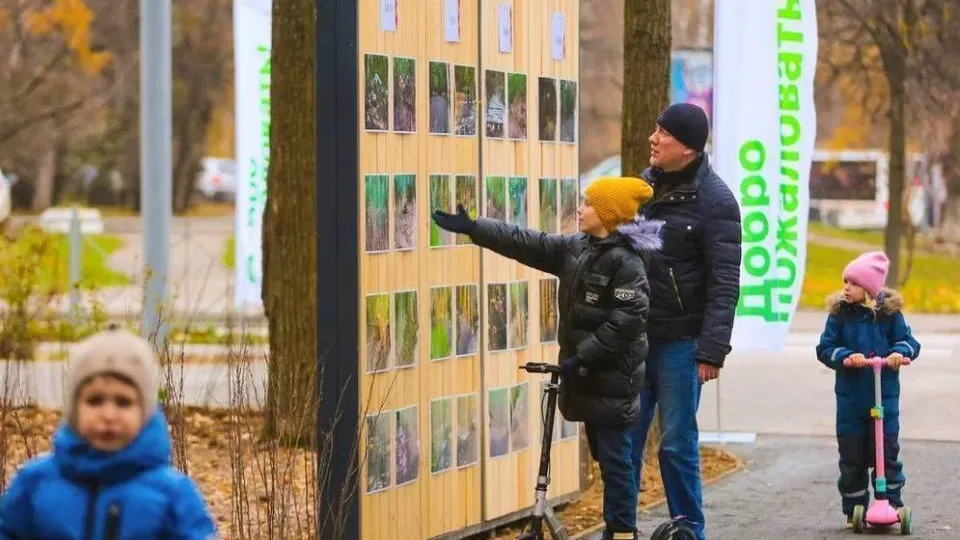 Фото: Министерство благоустройства Московской области