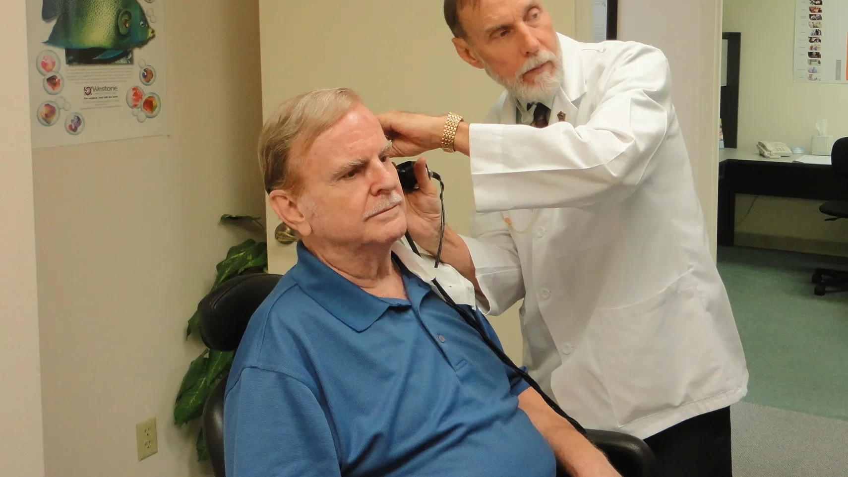 Фото: phxere.com