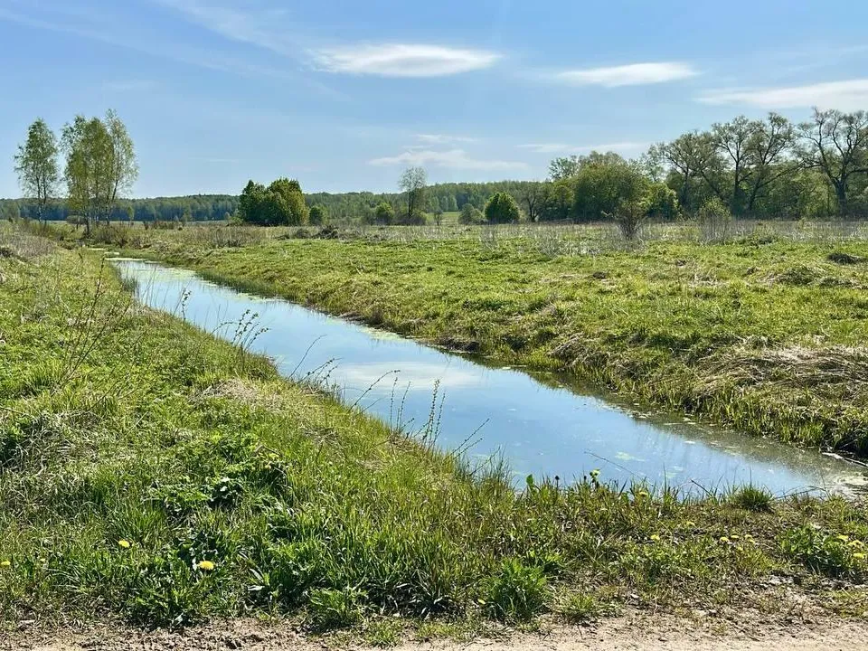 Фото: пресс-служба администрации Можайского м. о.