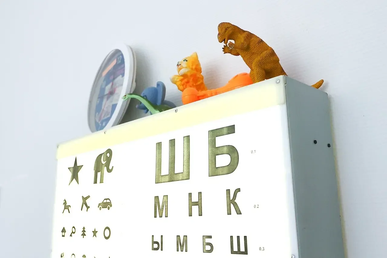 Фото: пресс-служба губернатора Московской области