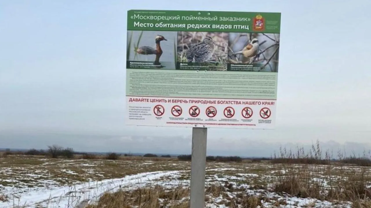 Охранные зоны для 21 ООПТ установили в Подмосковье за год
