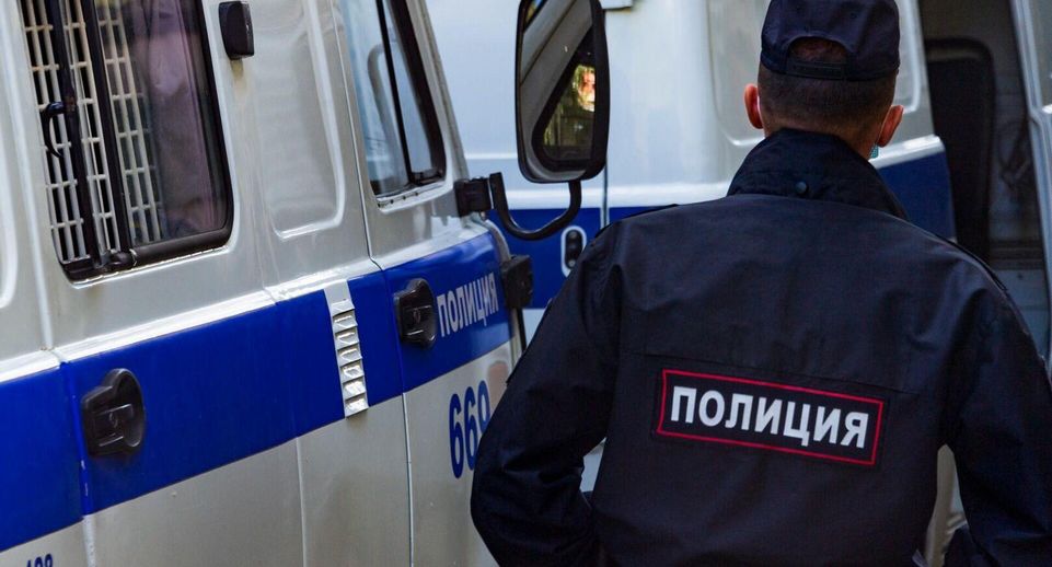 Подравшиеся с российскими полицейскими близняшки оказались украинскими порнозвездами