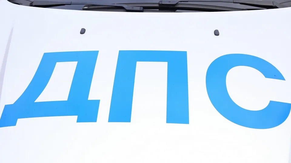 Фото: REGIONS/Александр Дрожжин