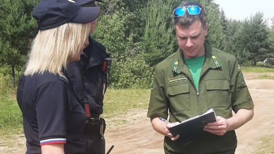 Фото: Комитет лесного хозяйства Московской области