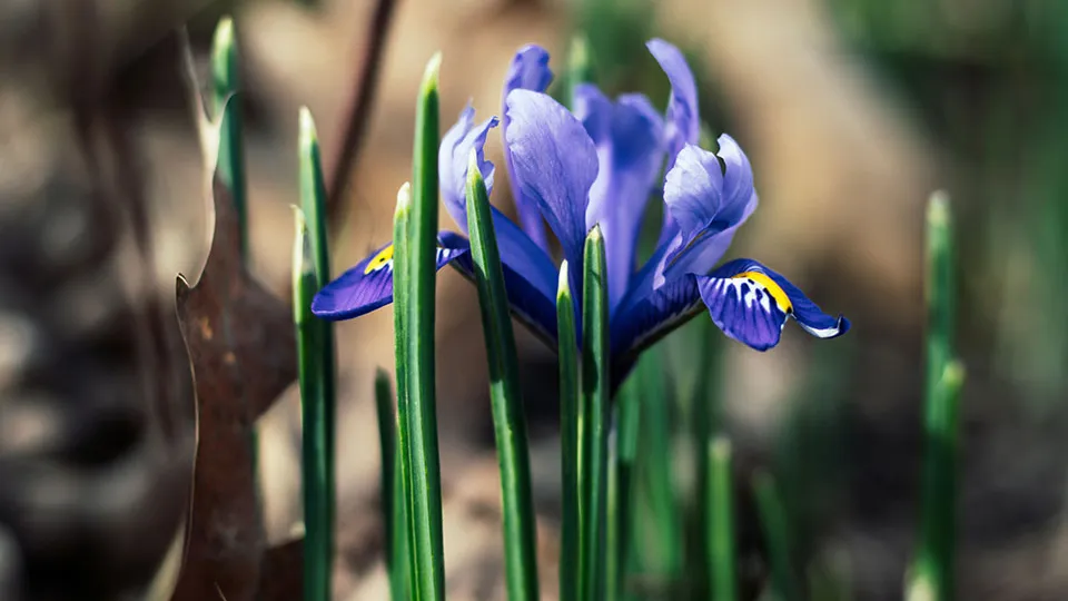 Фото: unsplash.com