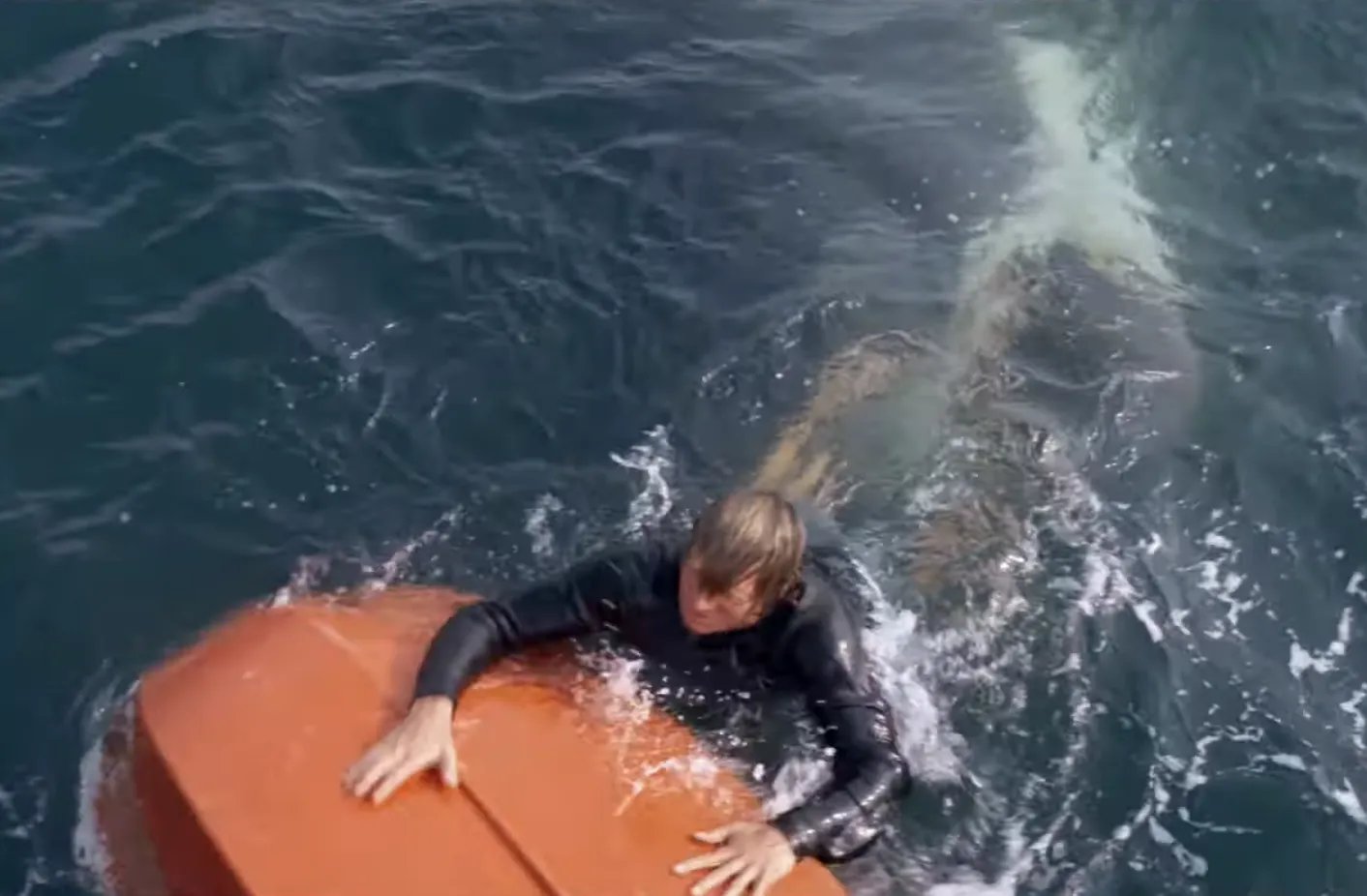 JAWS Official Trailer