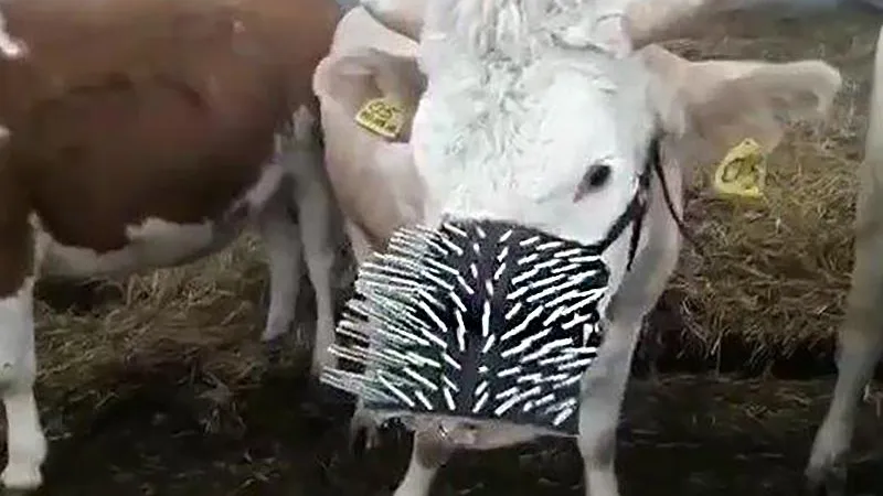 Олег Сирота