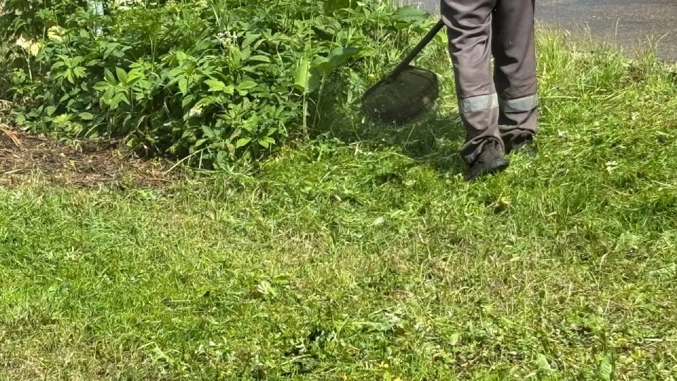 Фото: REGIONS/Алена Мельникова