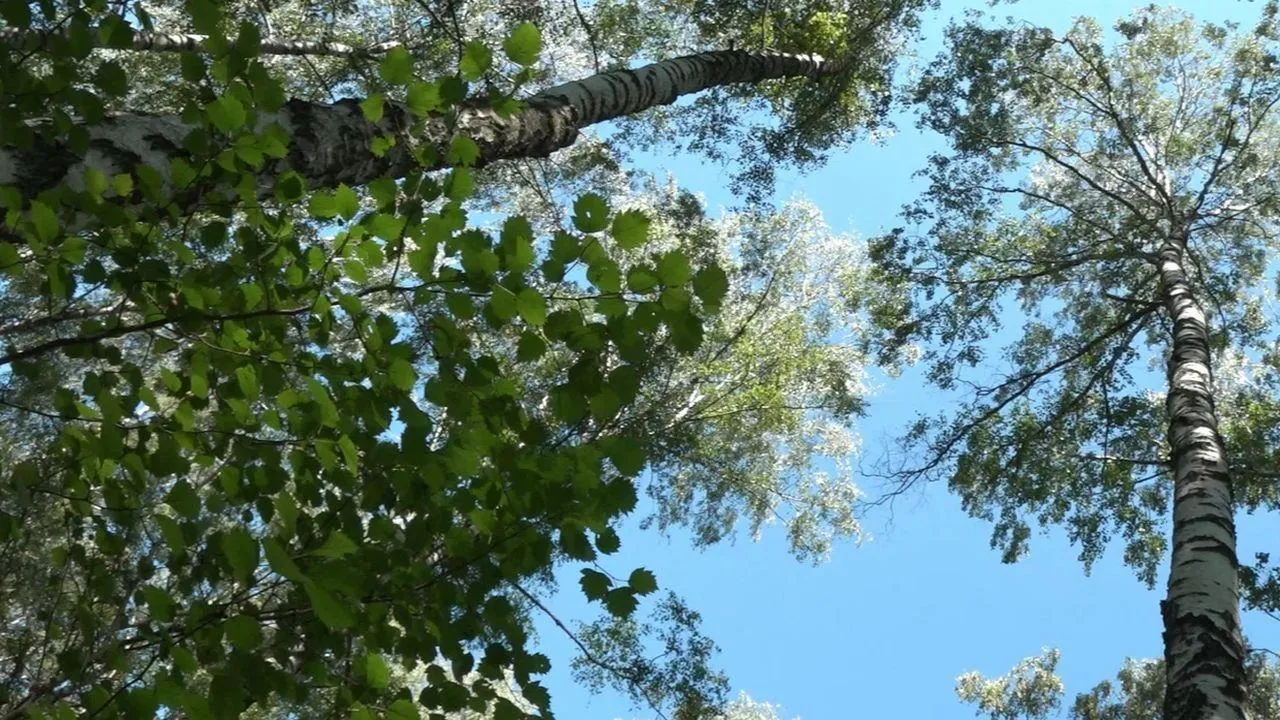 REGIONS/Наталья Надточая