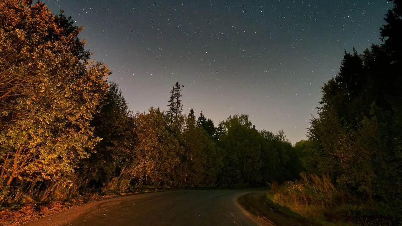 Фото: Игорь Горшков