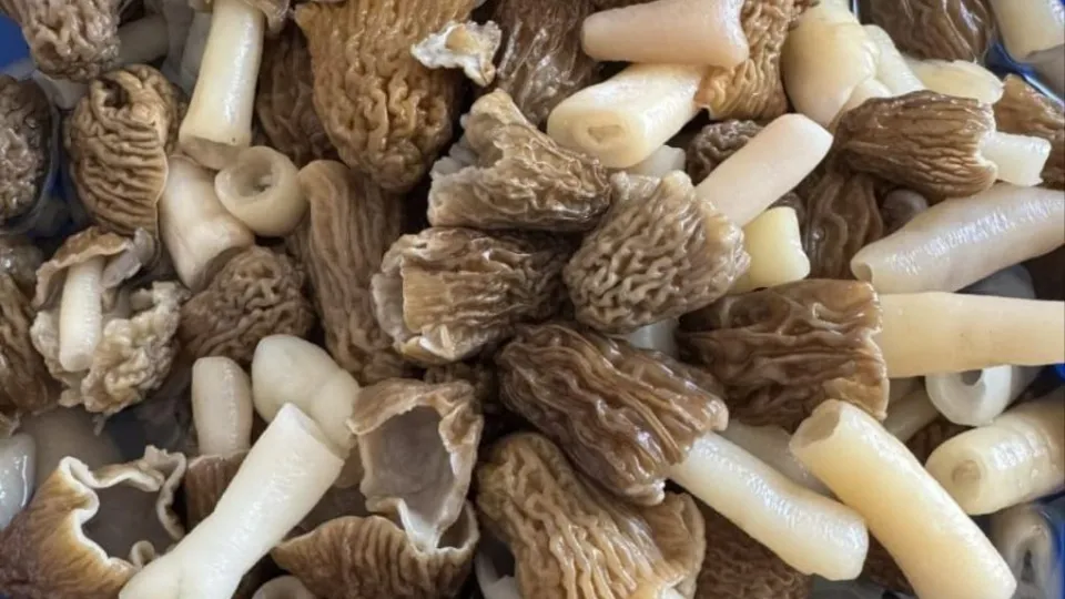 Фото: REGIONS/Юлия Габбасова