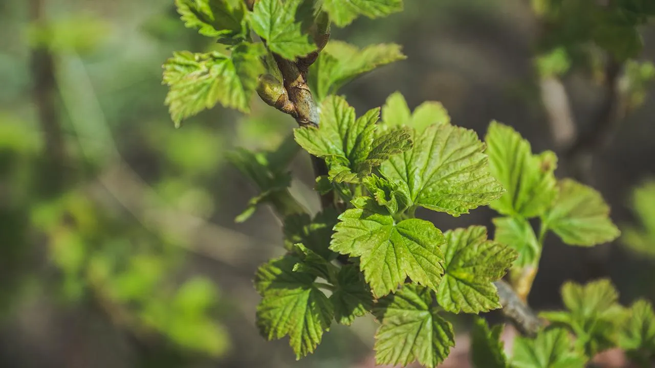 istockphoto.com/Mindstyle