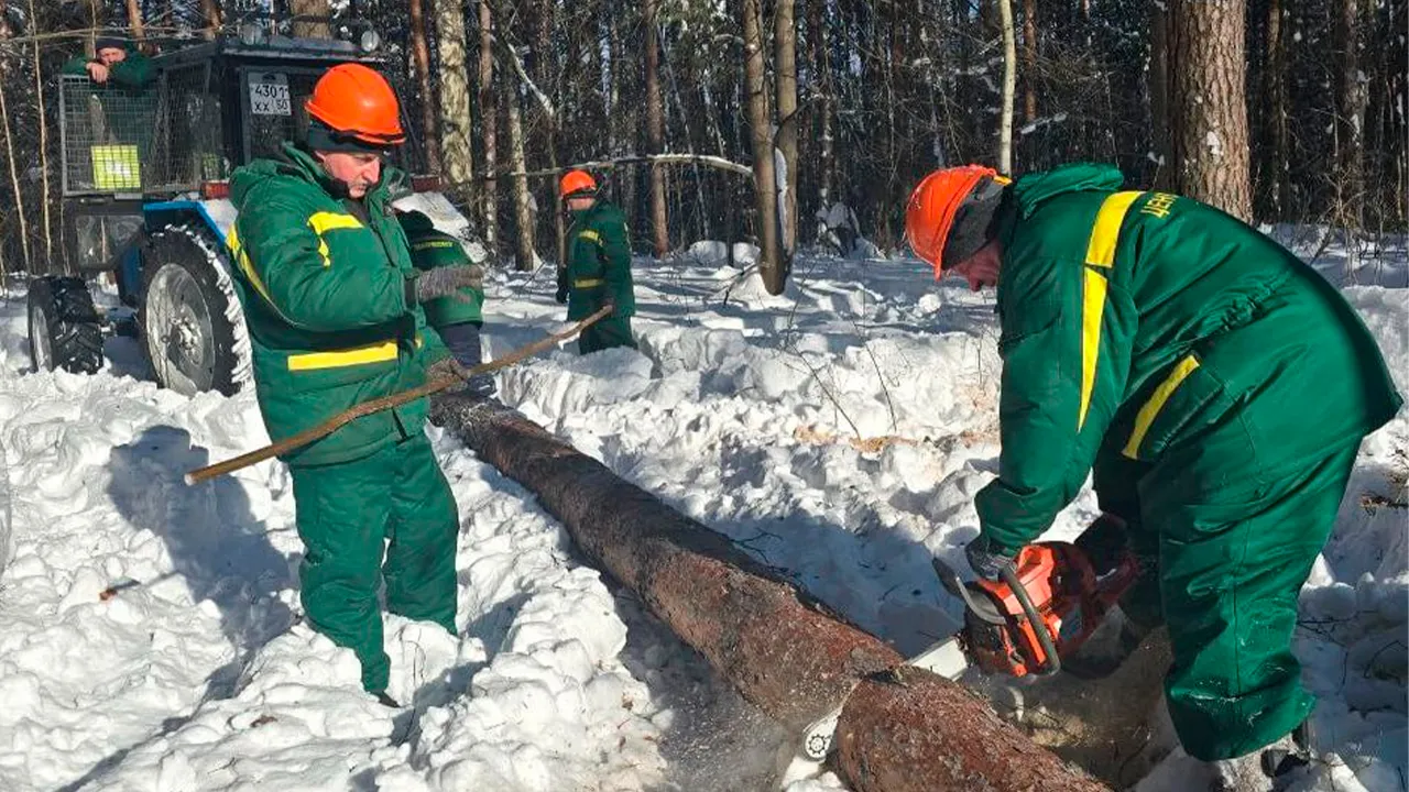 t.me/lesnichestvoLukhovitsy