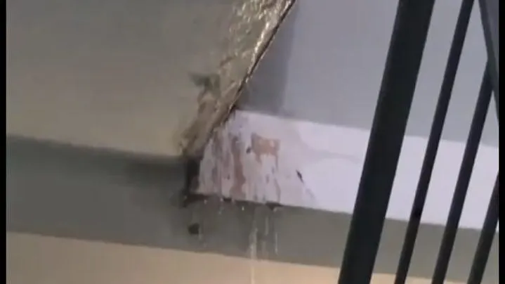 фото: скриншот видео