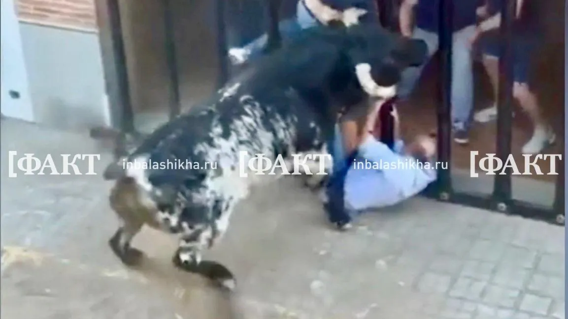 скриншот из видео