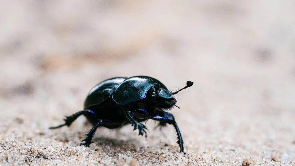 Фото: freepik.com