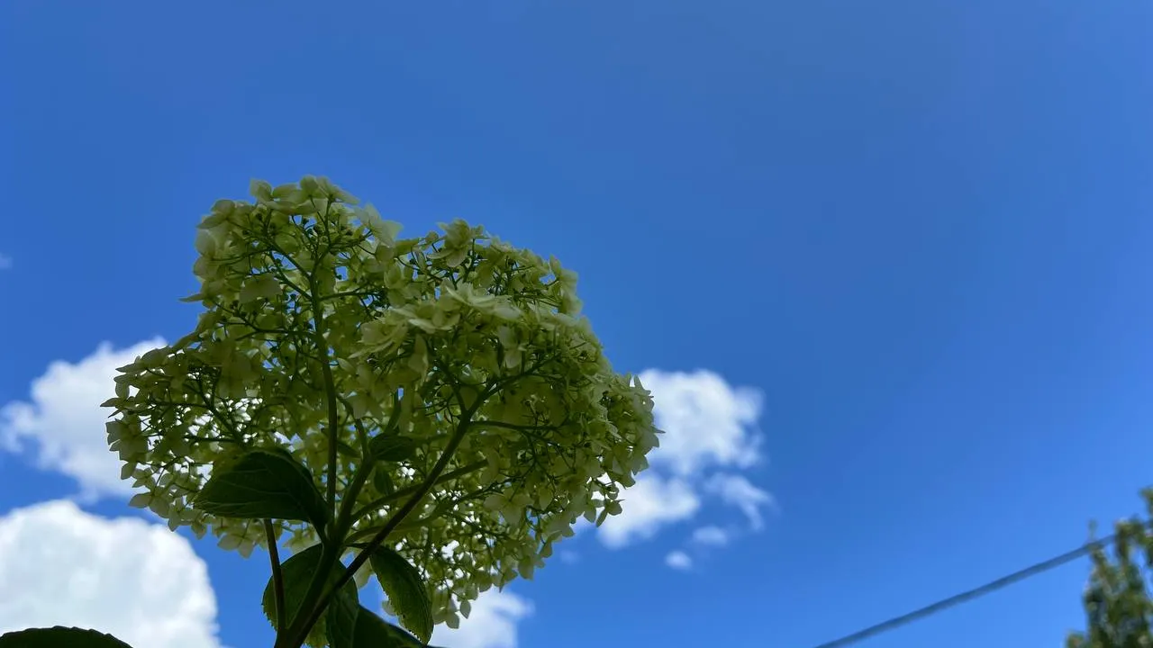 Фото: Елена Фурман