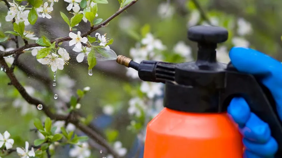 Фото: istockphoto.com