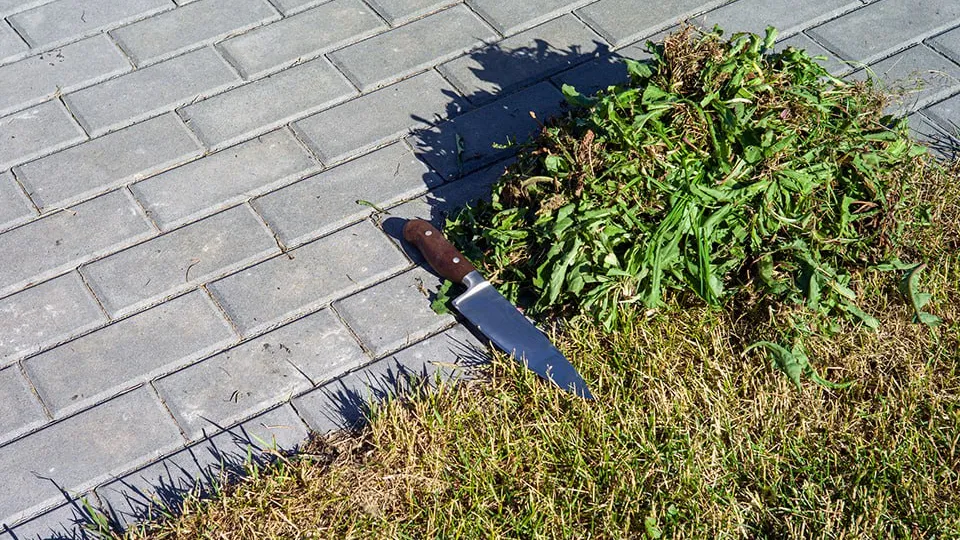 Фото: istockphoto.com/victorass88