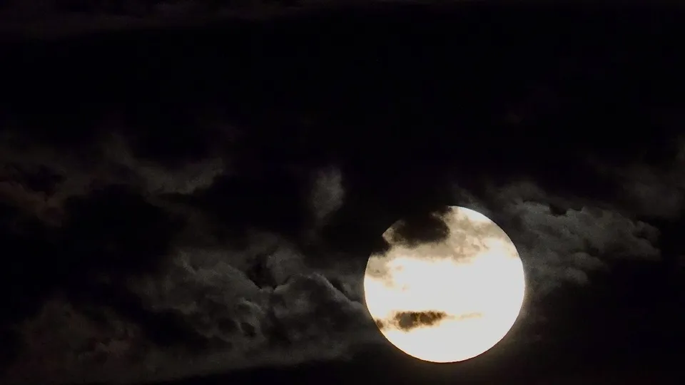 Фото: МедиаБанк Подмосковья/Дарья Леонова